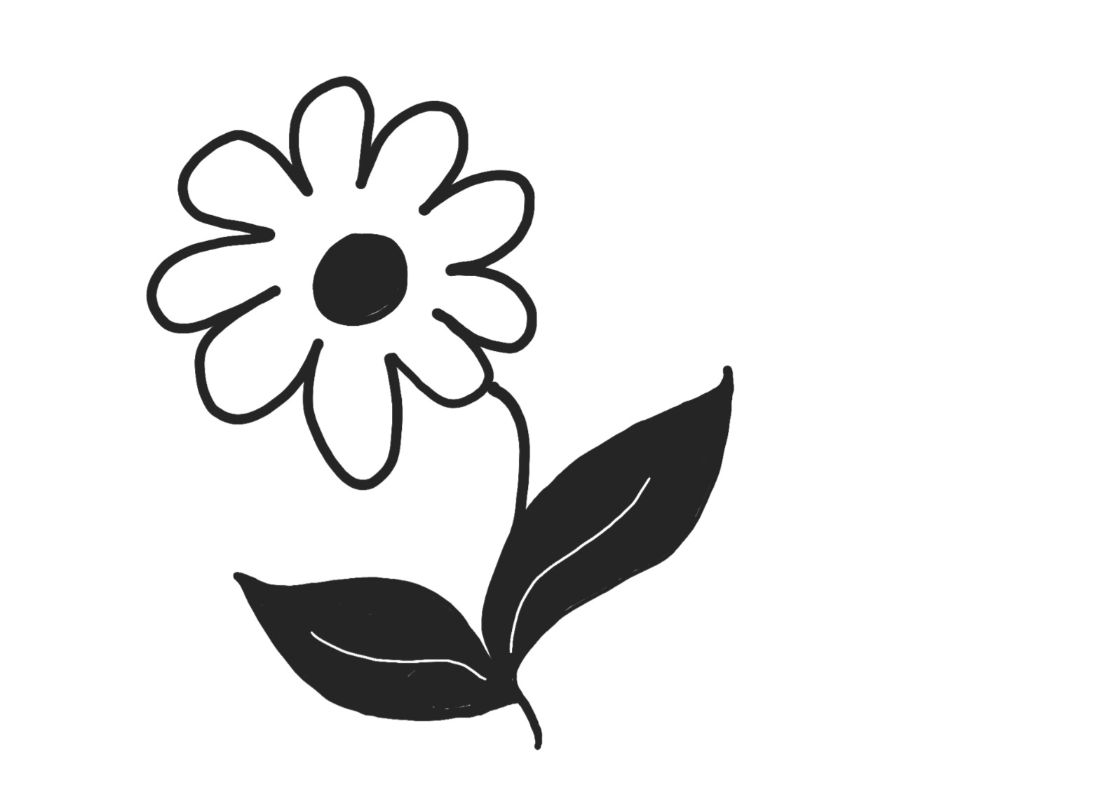 Blume
